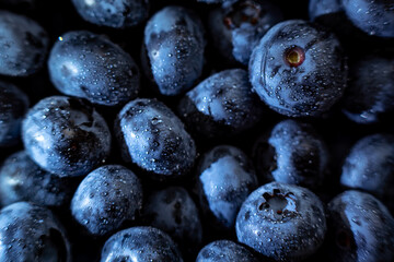 blueberries on a wooden table, macro photo. berry background with water drops