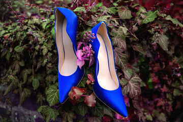 Blue elegant stiletto for ladies standing on a brick wall with leaves and flowers.