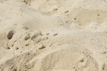 dunes de sable