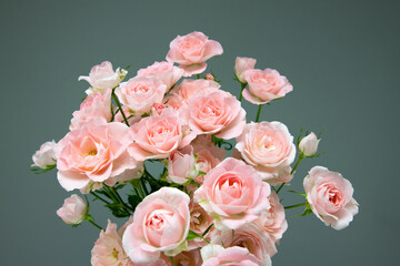 ピンクのミニバラ