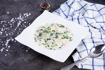 Russian traditional cold soup okroshka. Summer cold soup with yogurt and vegetables.