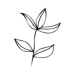 Cute single hand drawn herbal elements. Doodle vector illustration for wedding design, logo and greeting card. Traditional hand drawn spring flowers in ink style.