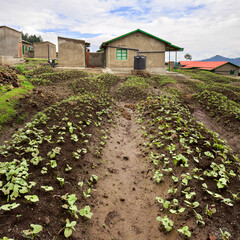 RWANDA: Model resettlement village to accommodate people from areas prone to floods and landslides....