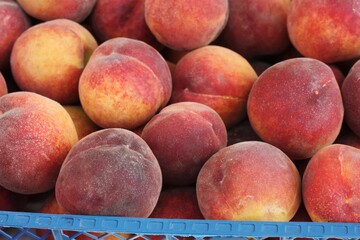 Juicy peaches on the market close up