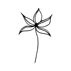 Cute single hand drawn herbal elements. Doodle vector illustration for wedding design, logo and greeting card. Traditional hand drawn spring flowers in ink style.