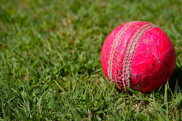 red ball on green grass.cricket ball on green grass in playground.