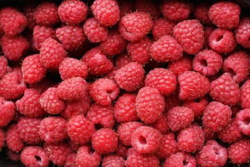 Delicious ripe raspberries on the market macro 