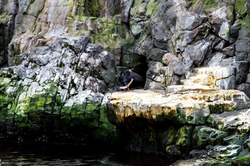 Lisboa Lisbon aquarium, capital of Portugal  