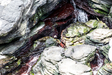 Lisboa Lisbon aquarium, capital of Portugal  