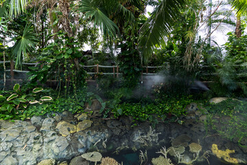 Lisboa Lisbon  aquarium , Oceanário de Lisboa