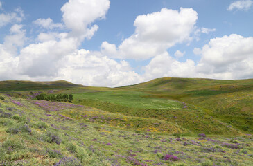Fototapeta na wymiar green hill landscape with clouds background, eastern Anatolia, Bingol