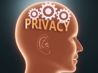 Privacy inside human mind - pictured as word Privacy inside a head with cogwheels to symbolize that Privacy is what people may think about and that it affects their behavior, 3d illustration