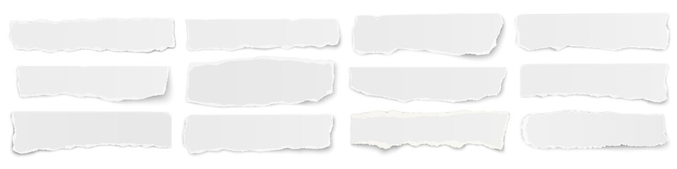 A long horizontal set of torn long pieces of paper isolated on a white background.