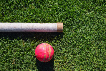 Cricket ball and bat handle isolated on a green background