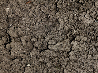 soil texture background