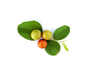 Jujube fruits close up on white background