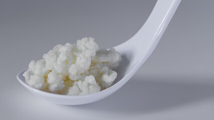 milk kefir grains