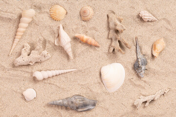 夏のイメージ砂浜の貝殻