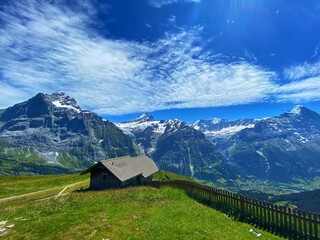 Fototapeta na wymiar swiss alpine landscape