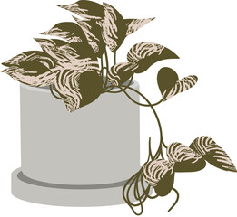 The Flower in a Grey Pot Flat Illustration