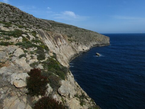 Beautiful view of garigue vegetation growing on coastal limestone cliffs in Maltese Islands