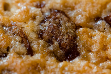 Macro shot of a chocolate chip cookie. 