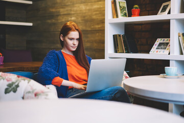 Concentrated foxy female copywriter working freelance with computer in comfortable coffee...