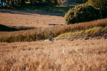 Professional biker pedaling between wheat fields