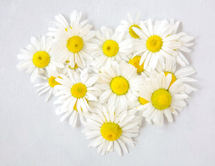Fototapeta premium Heart of fragrant daisies on a gray acrylic background