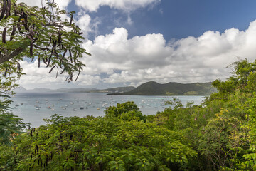 Fototapeta na wymiar Bay view from high point in Sainte-Anne, Martinique, France