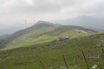 風景, 山, 自然, 山, 空, 緑, サマータイム, 草, ヒル, ヒル, 全景, 雲, 牧草地, 雲, 野原, 木, 低地, 青, いなか, 野原, ルーラル, 国, 景色, 森, 美しさ
