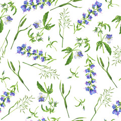 Seamless pattern with summer herbs and blue flowers on white background. Hand drawn watercolor illustration.