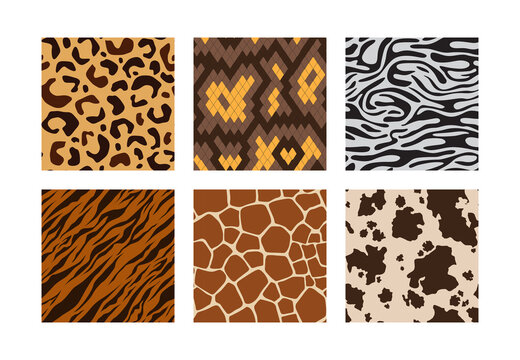 Animal skins. Pattern of african jungle animals leopard tiger zebra giraffe vector seamless backgrounds collection. Skin pattern african, seamless cheetah and leopard fashion illustration