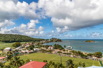 Coconut palms on waterfront in Trinite, Martinique, France
