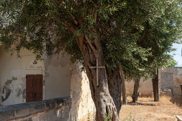 A large wooden cross is nailed to a tree in the Teresas Church of the Holy which is located on...