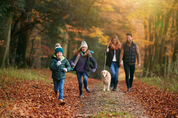 Naklejka na ściany i meble Family Walking With Pet Golden Retriever Dog Along Autumn Woodland Path Together
