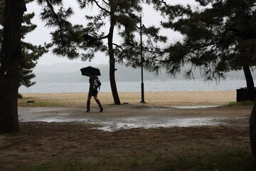 浜, ウォーキング, 海, 空, 海, 人々, 水, シルエット, 自然,  砂, 風景, 歩行, alone, 女性, 愛, 惰性で進む, ジョギング,  木, サマータイム、雨