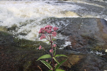 waterfall in the mountains