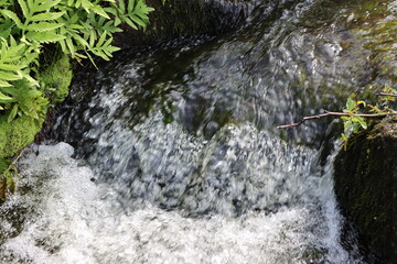 waterfall in the forest