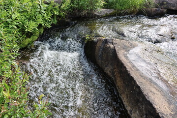 waterfall in the woods