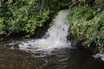 waterfall in the forest