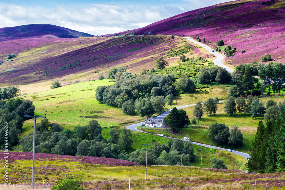 Wall mural picturesque road in scottish highlands, cairngorms national park near lecht ski resort, scotland, un