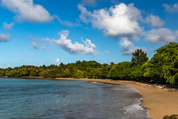 White sand beach in Trinite, Martinique, France