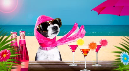 Stickers pour porte Chien fou boisson cocktail chien en vacances d& 39 été vacances au bar du club de plage