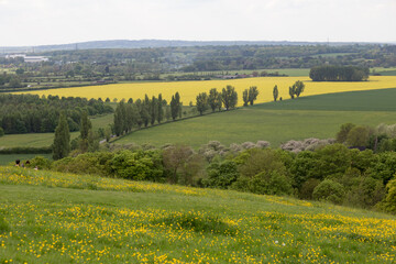 South Oxfordshire countryside with River Thames looking from Wittenham Clumps