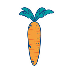 carrot fresh vegetable isolated icon