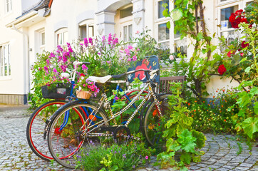Fototapeta na wymiar Two vibrant colored bicycles decorated with many beautiful blooming flowers