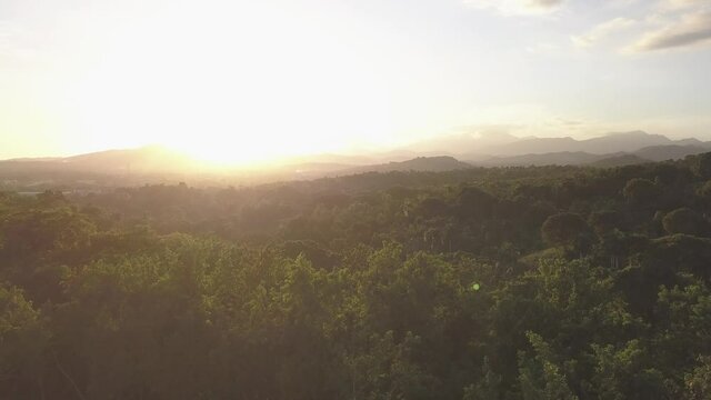 Clean drone shot of forest at sunset. Aerial video from Santo Domingo, Dominican Republic in The Caribbean depicting large area of trees and mountains on the background.