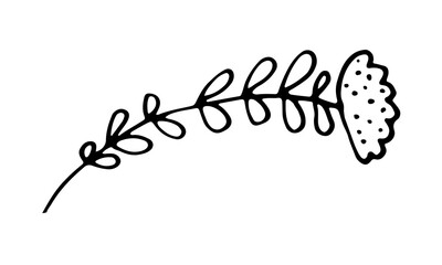 Hand drawn doodle flower illustration. Simple floral element isolated on white background