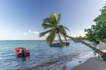 Fishing boats in water in Trinite, Martinique, France